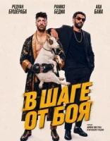 В шаге от боя